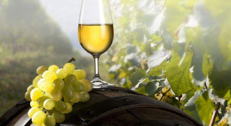 В Молдове впервые пройдёт Международный виноградо-винодельческий форум